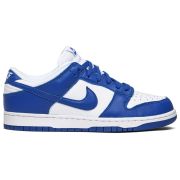  NIKE DUNK LOW SP KENTUCKY (2020)